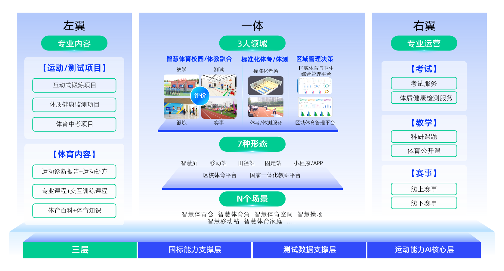 尊龙时凯教育体育架构图.png